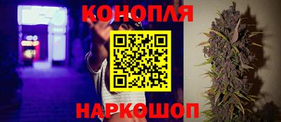 молекула духа Будённовск