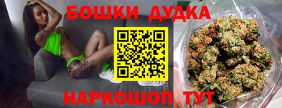 молекула духа Будённовск