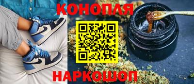 молекула духа Будённовск