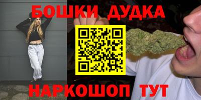 молекула духа Будённовск